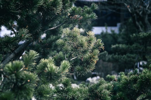 黄涛资本征途八年回顾：从智慧交通到生物医药，世纪金源系版图持续壮大。 股票财经