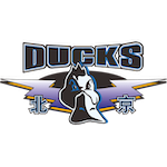  辽宁不敌北京，付豪直言第三节断电需总结；承认对手实力更胜一筹。 体育新闻