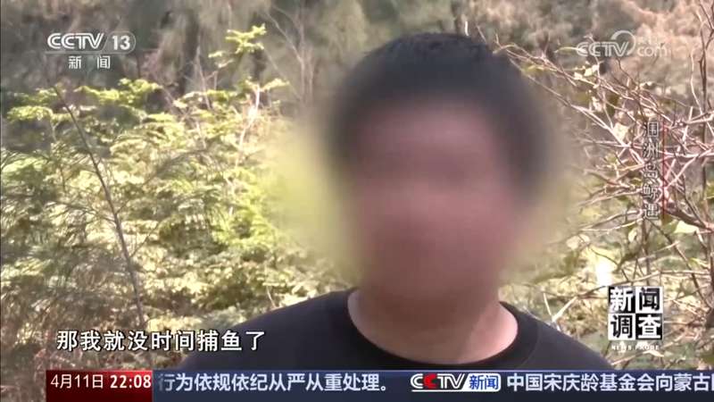  涠洲岛“刀疤哥”撞击事件深度复盘：技术、法律与生态的三维审视 新闻