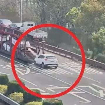  涠洲岛“刀疤哥”撞击事件深度复盘：技术、法律与生态的三维审视 新闻