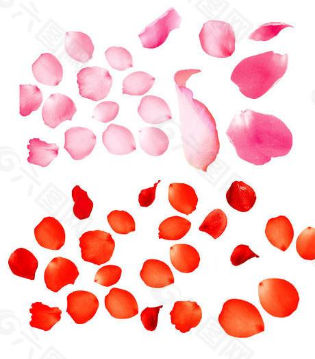  硬科技投资范式转移：产业资本如何从“逐利者”蜕变为“生态共建者” 股票财经