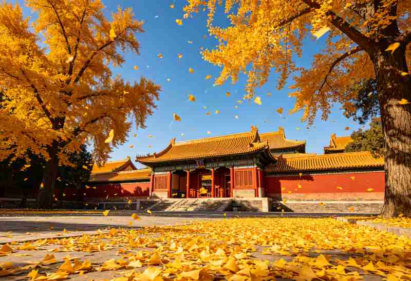  【深度】曲阜孔庙田野考察：孔子符号化的制度逻辑与精神原点的祛魅之旅 文化旅游