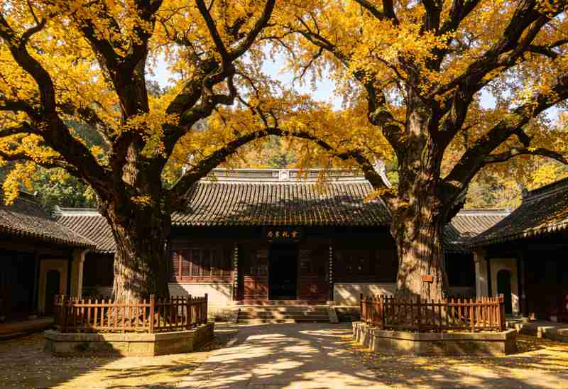  【深度】曲阜孔庙田野考察：孔子符号化的制度逻辑与精神原点的祛魅之旅 文化旅游