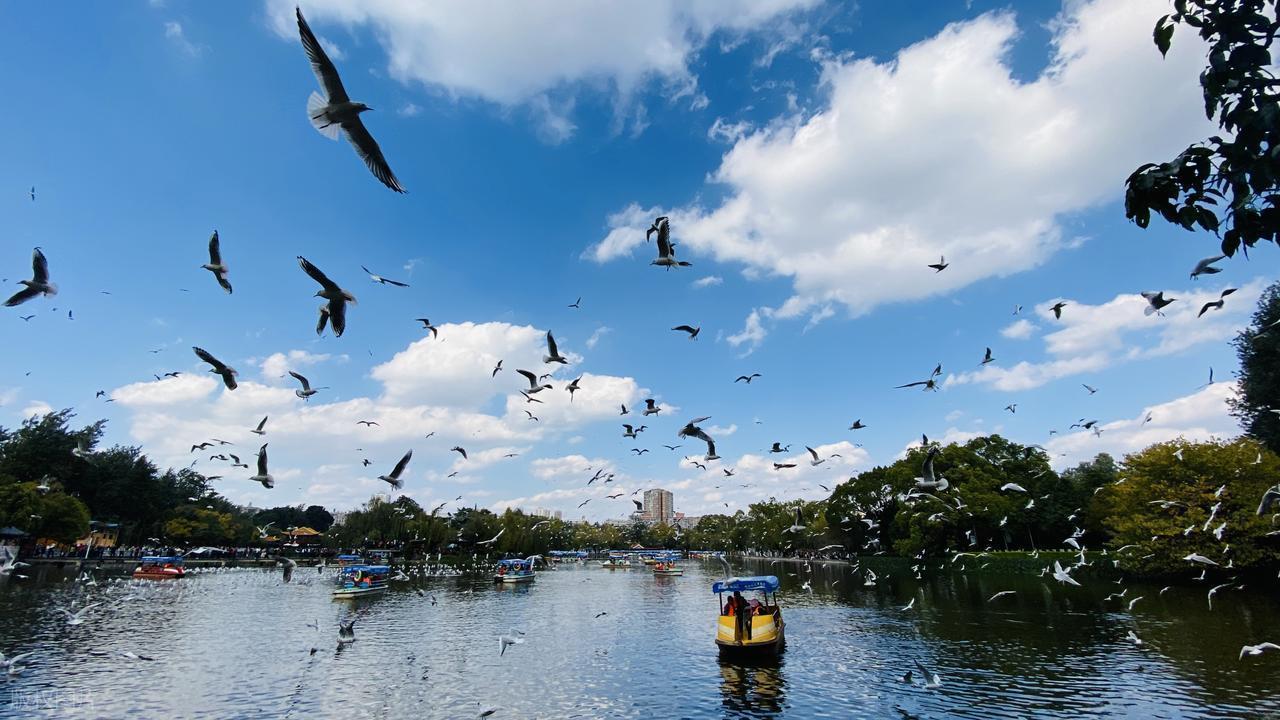  【玉溪行动复盘】一个东北汉子的江湖道义：踩点策略、武器配置与目标摧毁的完整战术解析 影视小说