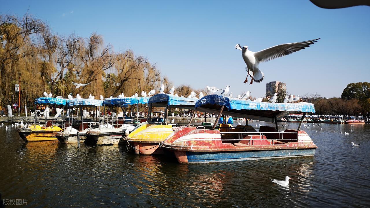  【玉溪行动复盘】一个东北汉子的江湖道义：踩点策略、武器配置与目标摧毁的完整战术解析 影视小说