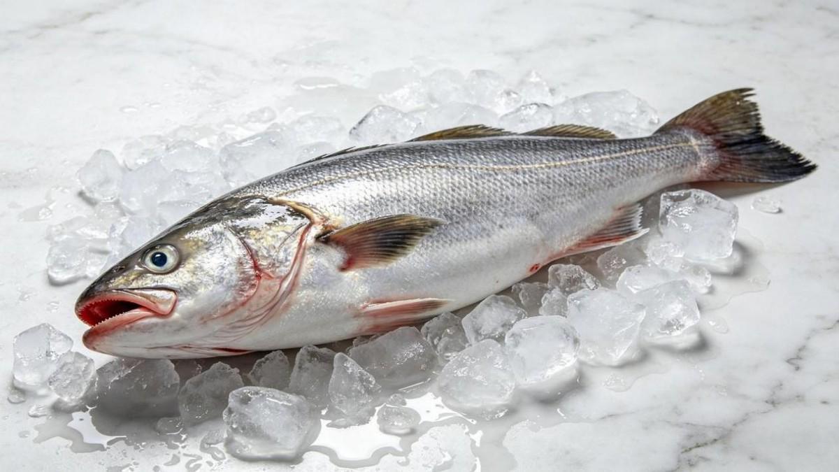  深海鱼类Omega-3效能评测：真鳕鱼、三文鱼与大黄鱼的营养数据深度解析 健康养生