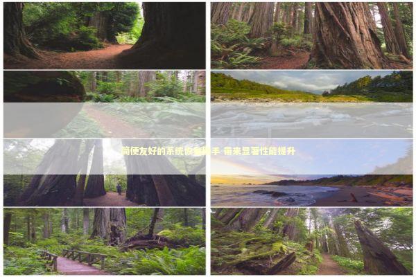 简便友好的系统恢复助手 带来显著性能提升 新闻