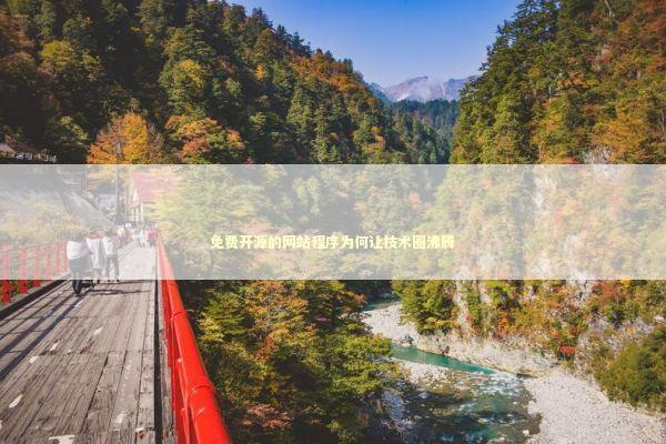 免费开源的网站程序为何让技术圈沸腾 IT技术