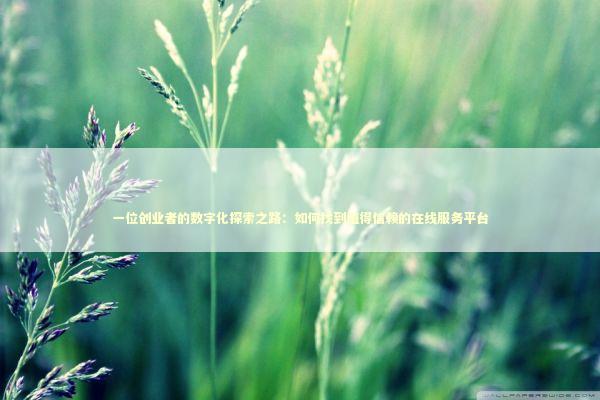 一位创业者的数字化探索之路：如何找到值得信赖的在线服务平台 IT技术