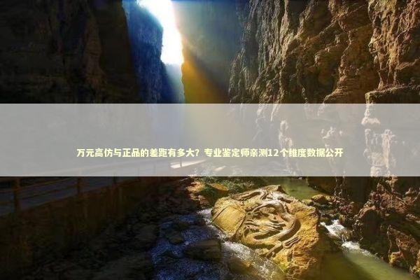 万元高仿与正品的差距有多大？专业鉴定师亲测12个维度数据公开